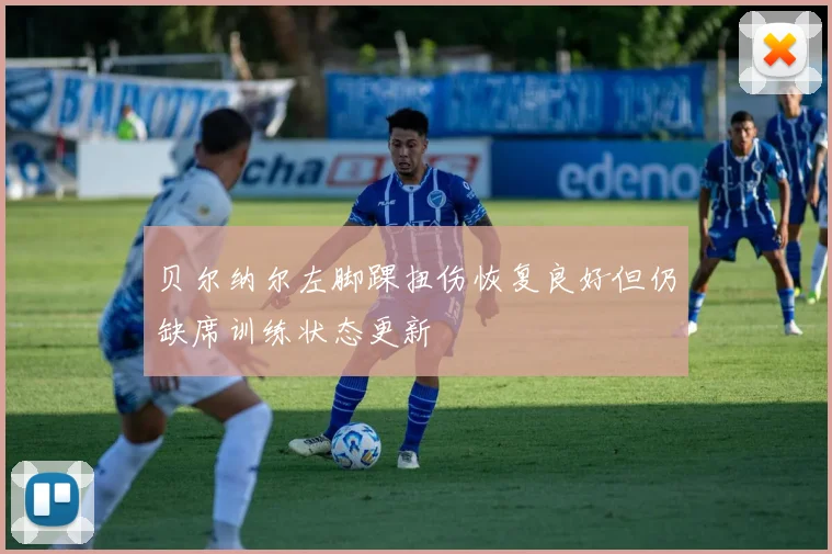贝尔纳尔左脚踝扭伤恢复良好但仍缺席训练状态更新